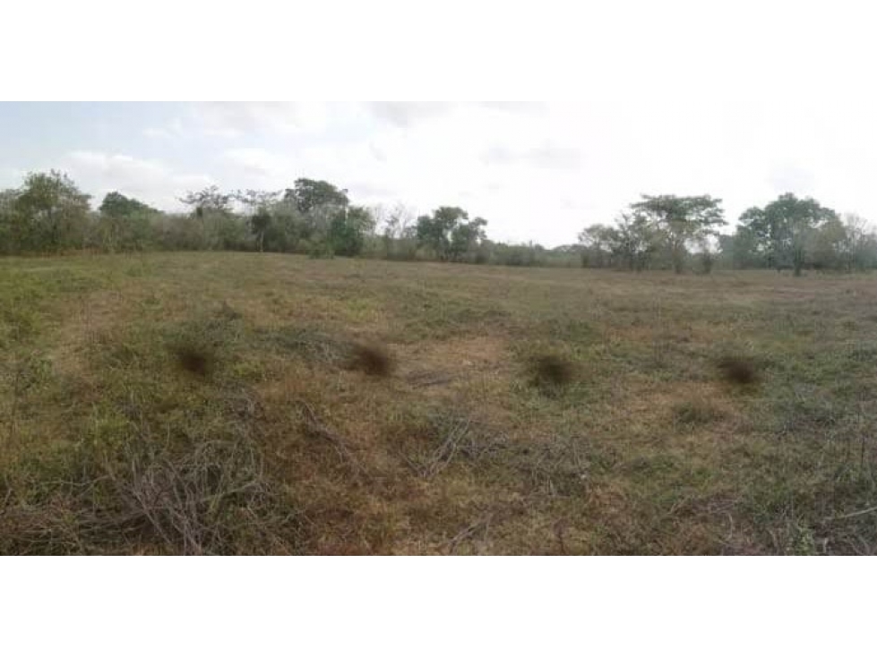 FINCA en Gestion - Tierralta, Cordoba - 1