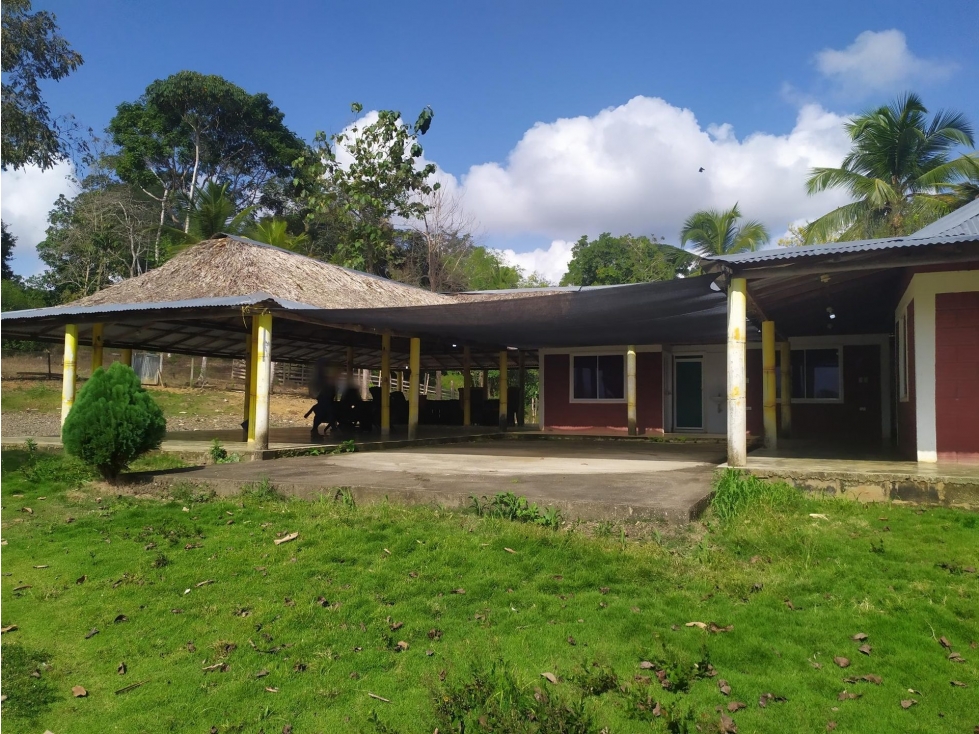 FINCA en Gestion - Tierralta, Cordoba - 1