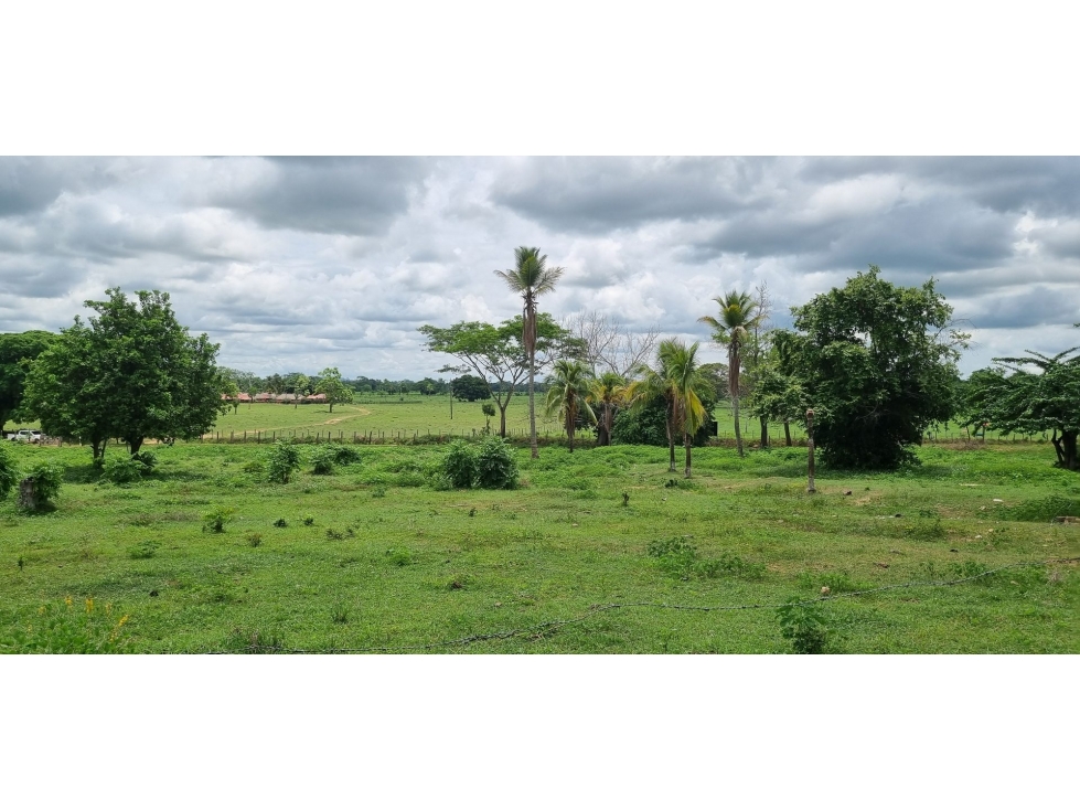 FINCA en Gestion - TIERRALTA, CÓRDOBA - 3
