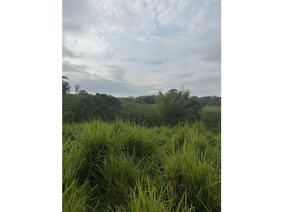 FINCA en Gestion - Ulloa, Valle Del Cauca
