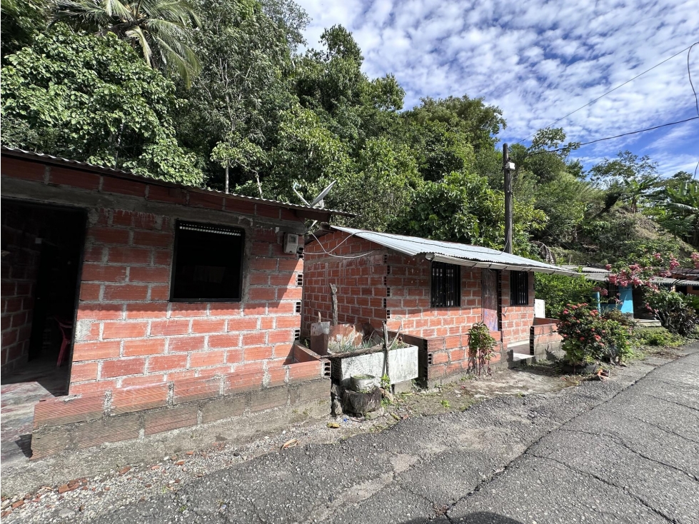 FINCA en Gestion - Valdivia, Antioquia
