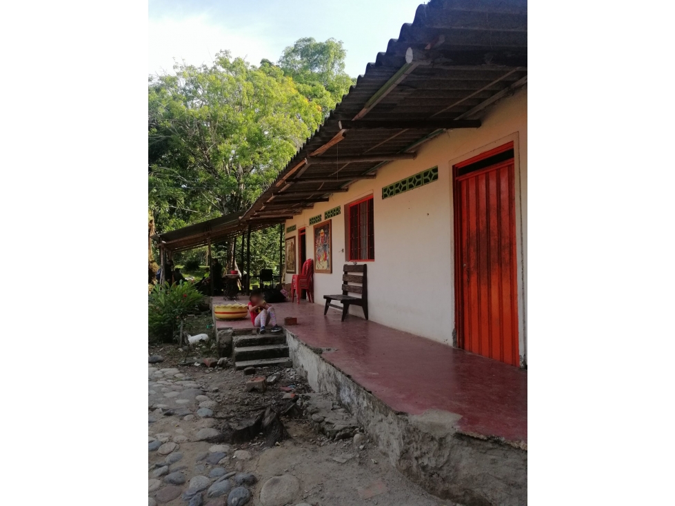 FINCA en Gestion - Venadillo, Tolima - 1