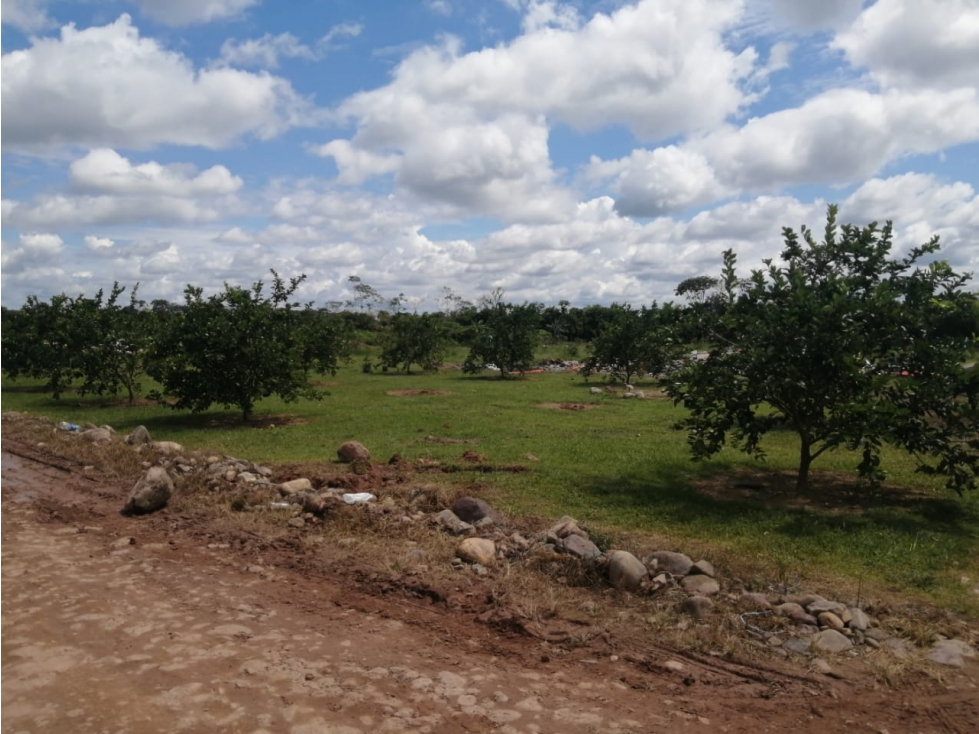 FINCA en Gestion - Villavicencio, Meta - 1