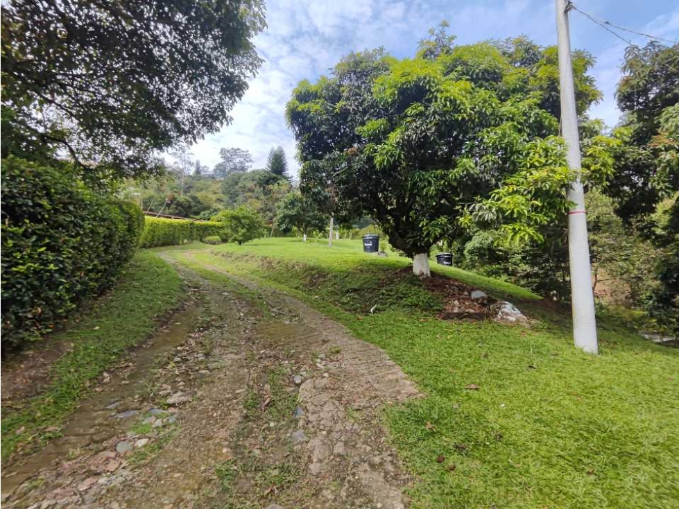 Finca 6.855 m², 5 alcobas, vereda El Totumo, Girardota — foto 5
