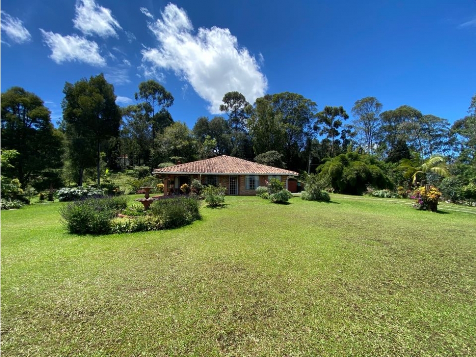 FINCA EN GUARNE SECTOR LA SANTA MARÍA A 5 minutos del pueblo — foto 4