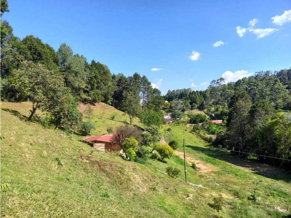 FINCA EN GUARNE VEREDA EL SALADO — foto 5