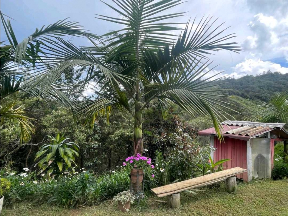 Finca en Guarne vereda yolombal — foto 3