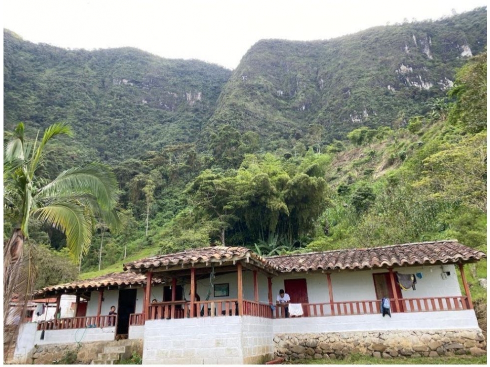 FINCA EN JERICÓ. A pocos minutos del pueblo. - 2