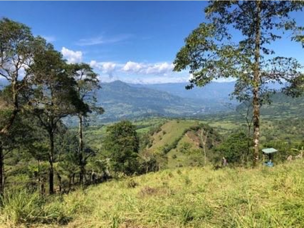 FINCA EN JERICÓ. A pocos minutos del pueblo. - 3
