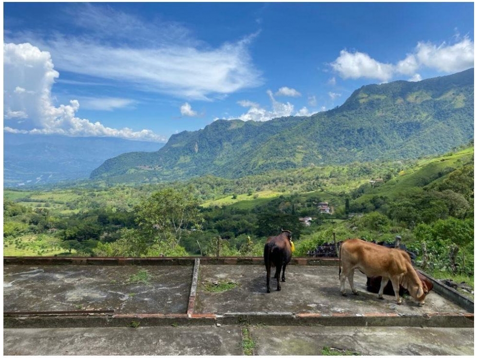 FINCA EN JERICÓ. A pocos minutos del pueblo. - 5