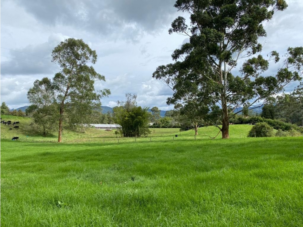Venta casa campestre en La Ceja con lote para parcelación