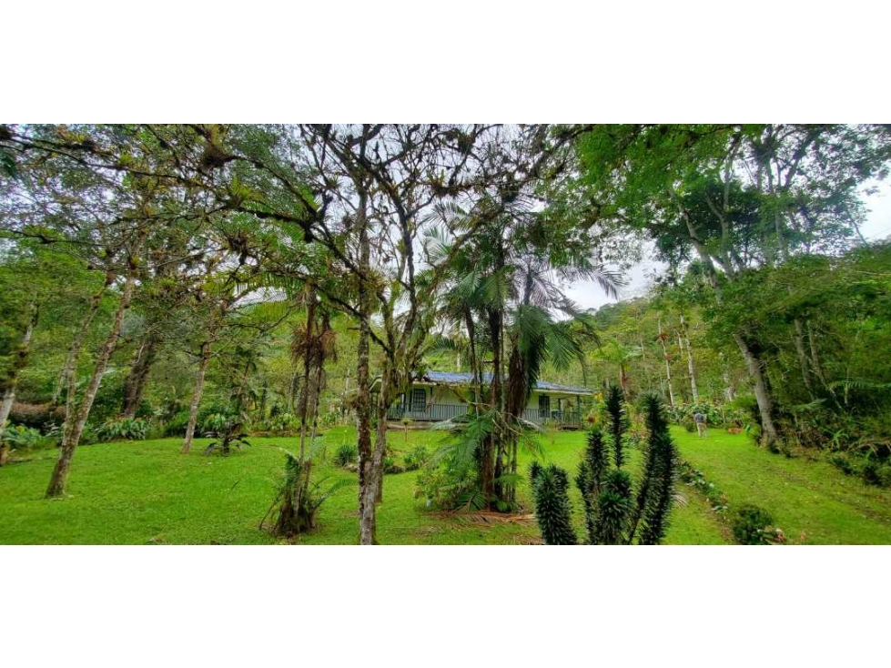Finca en la Ruta Dapa a Bitaco La Cumbre - 2