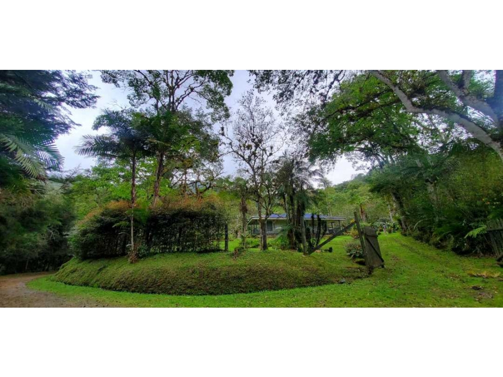 Finca en la Ruta Dapa a Bitaco La Cumbre - 5