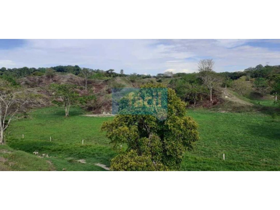 Venta Finca en Zambito-Cimitarra a la orilla de la Ruta del Sol - 1
