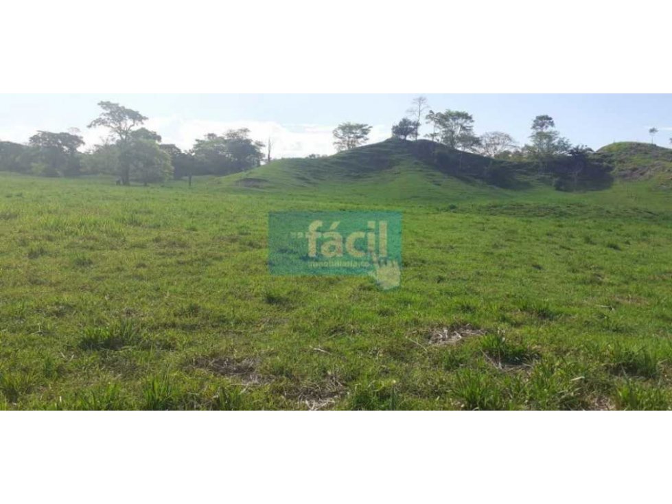 Venta Finca en Zambito-Cimitarra a la orilla de la Ruta del Sol - 2