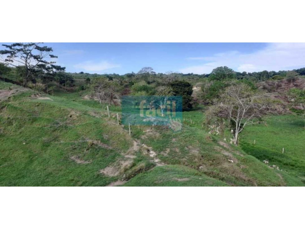 Venta Finca en Zambito-Cimitarra a la orilla de la Ruta del Sol - 3