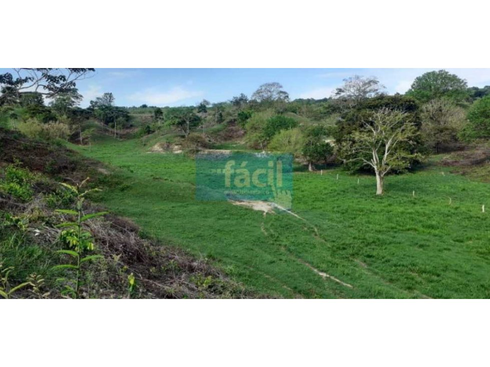 Venta Finca en Zambito-Cimitarra a la orilla de la Ruta del Sol - 4
