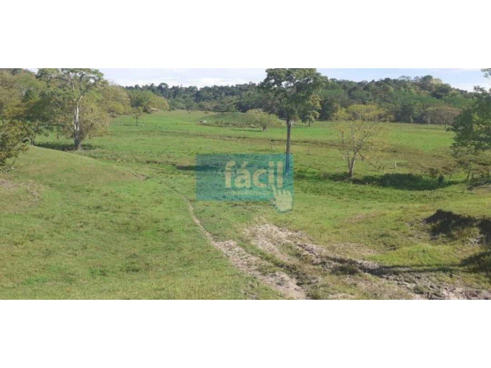 Venta Finca en Zambito-Cimitarra a la orilla de la Ruta del Sol - 5