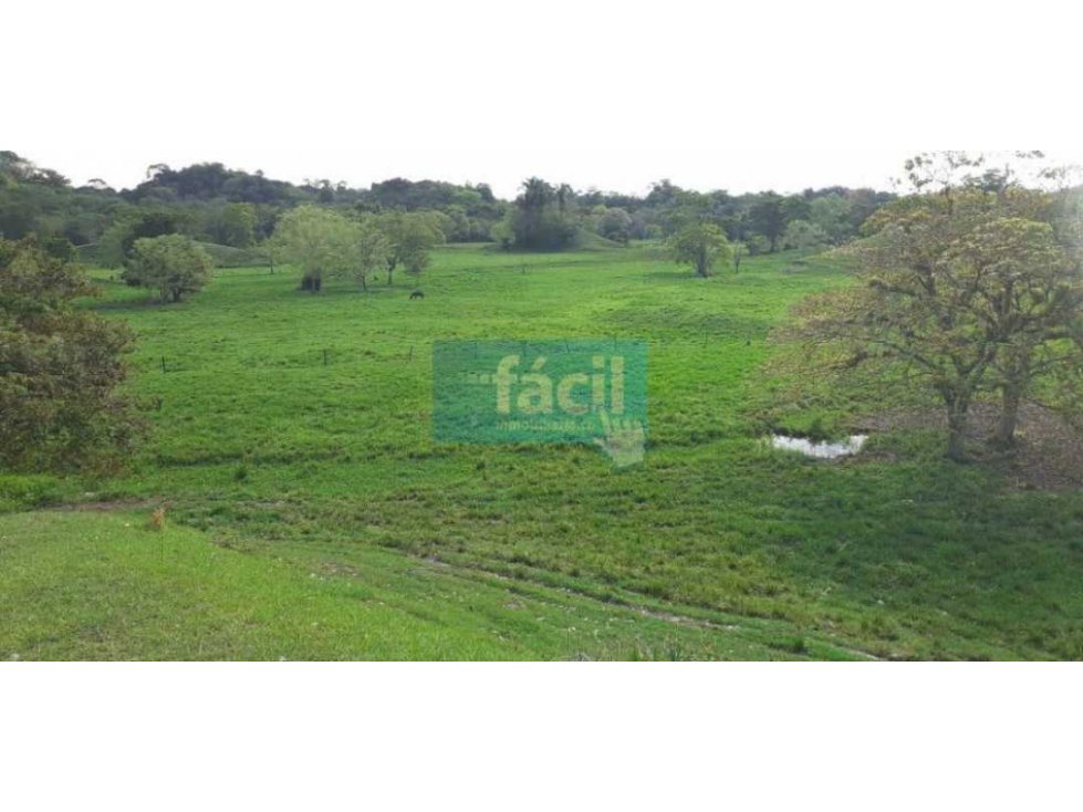 Venta Finca en Zambito-Cimitarra a la orilla de la Ruta del Sol - 6
