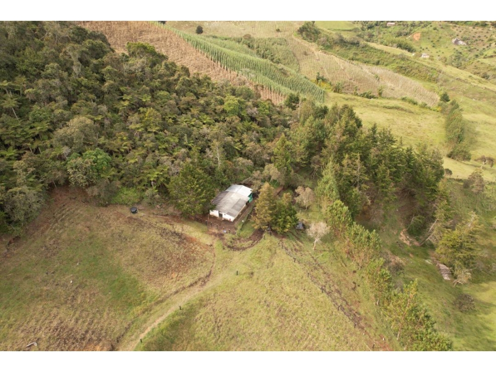 Finca en Marinilla con área de bosque nativo — foto 4