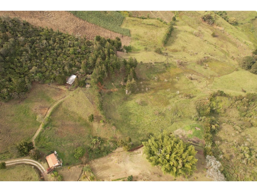 Finca en Marinilla con área de bosque nativo — foto 3