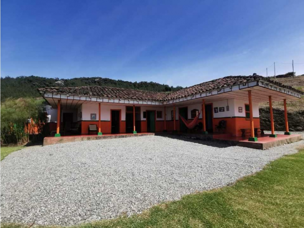 ¡¡FINCA EN PACORA AGUACATERA CON CERTIFICACIONES PARA EXPORTACION!! - 2