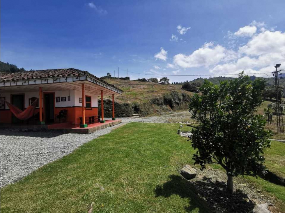 ¡¡FINCA EN PACORA AGUACATERA CON CERTIFICACIONES PARA EXPORTACION!! - 3