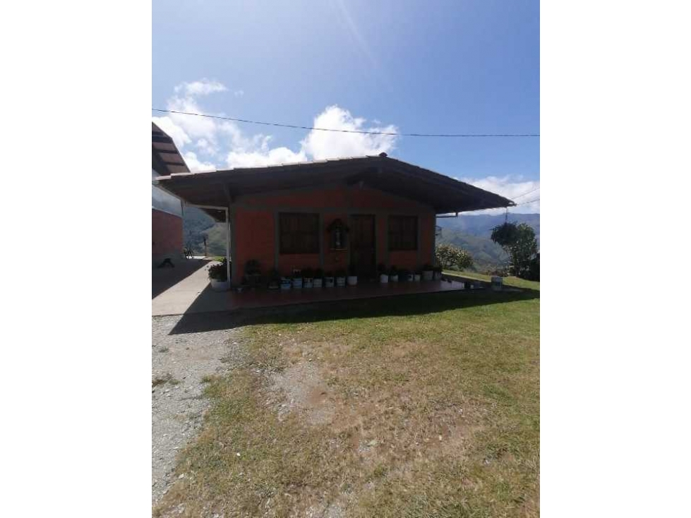¡¡FINCA EN PACORA AGUACATERA CON CERTIFICACIONES PARA EXPORTACION!! - 4
