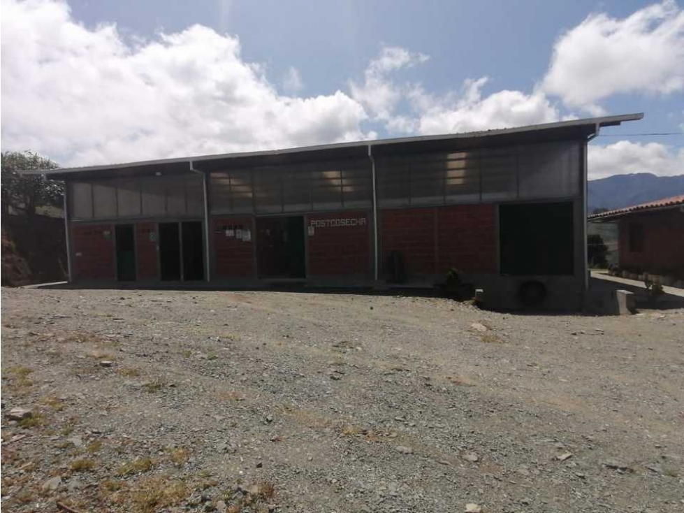 ¡¡FINCA EN PACORA AGUACATERA CON CERTIFICACIONES PARA EXPORTACION!! - 5