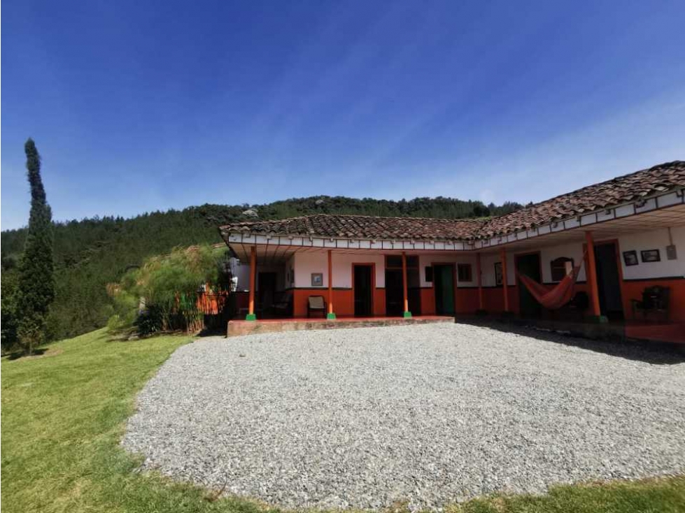 ¡¡FINCA EN PACORA AGUACATERA CON CERTIFICACIONES PARA EXPORTACION!! - 6