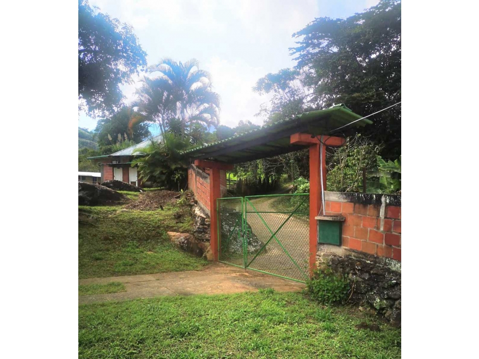 Finca en Pance vereda el Banqueo — foto 2