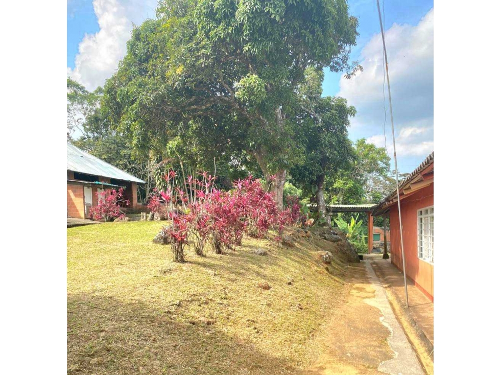 Finca en Pance vereda el Banqueo — foto 6