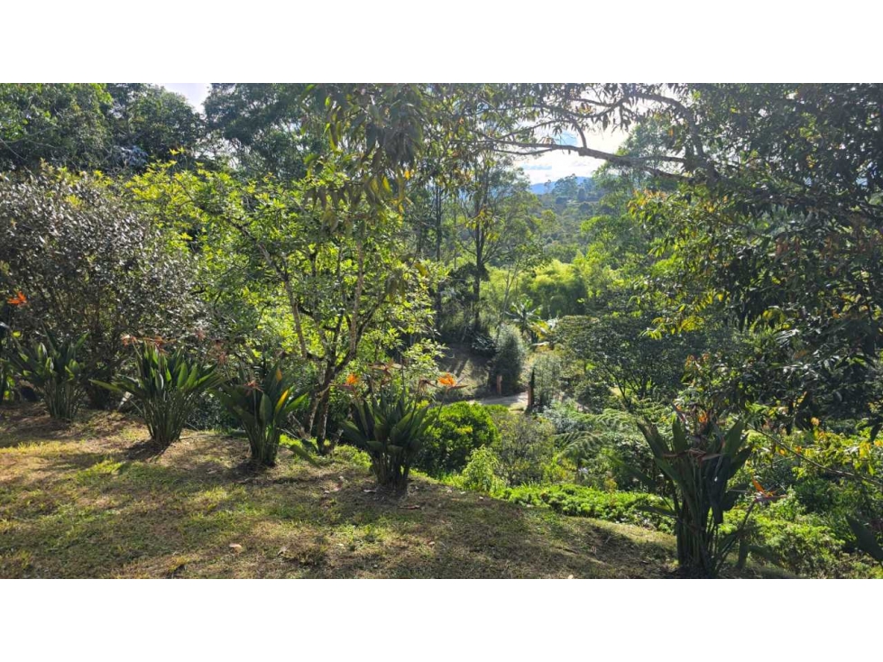 Finca en parcelación campestre / Lote de $3.750 mts / $1.590.000.000 — foto 4