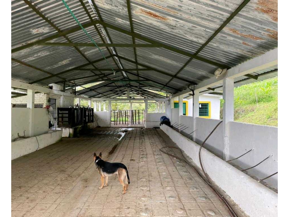 Finca ganadera a 5 minutos del parque principal deRestrepo Valle - 5