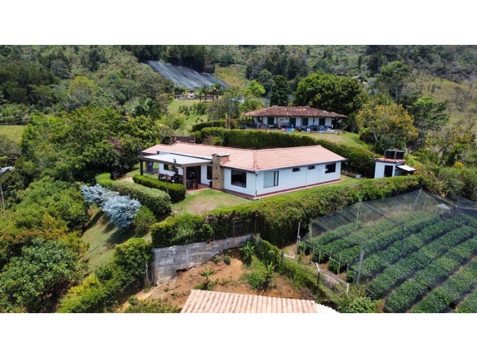 FINCA EN RIONEGRO VÍA SAN ANTONIO LA CEJA CERCA AL CAPIRO