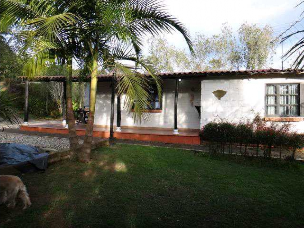 Finca en Rionegro vereda las cuchillas en Venta