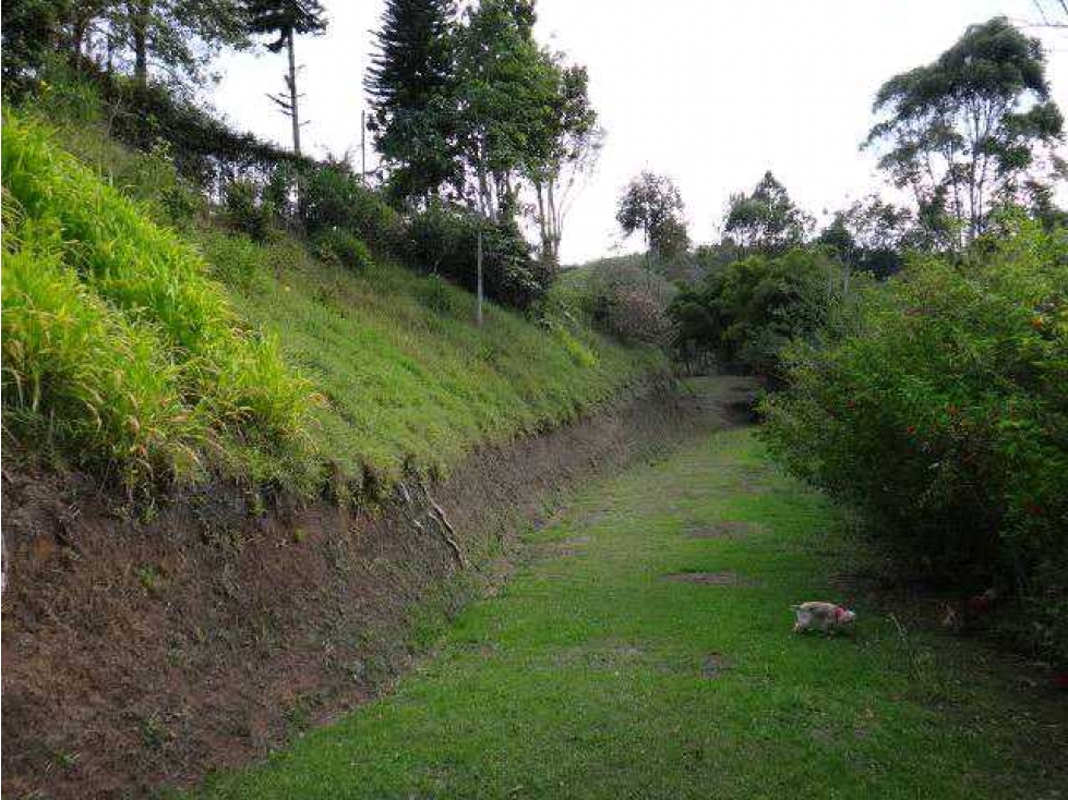 Finca en Rionegro vereda las cuchillas en Venta — foto 6