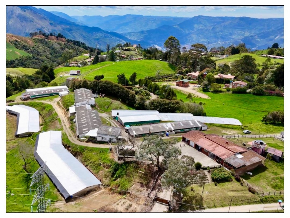 Finca en San Félix a 15 km de Medellín y 27 km de san Pedro de los mgr