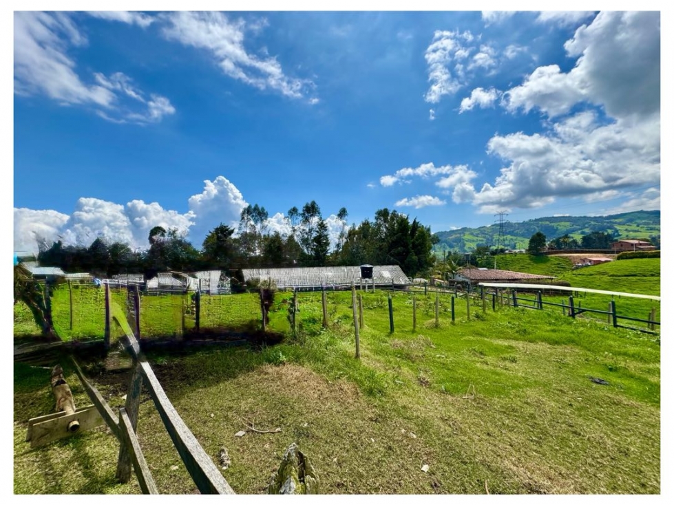 Finca en San Félix a 15 km de Medellín y 27 km de san Pedro de los mgr — foto 6