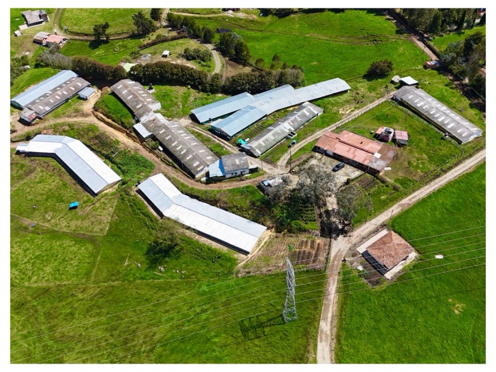 Finca en San Félix a 15 km de Medellín y 27 km de san Pedro de los mgr — foto 5