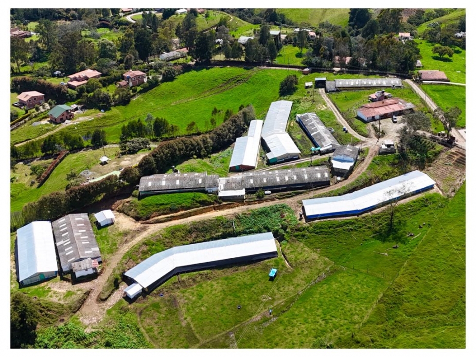 Finca en San Félix a 15 km de Medellín y 27 km de san Pedro de los mgr — foto 3
