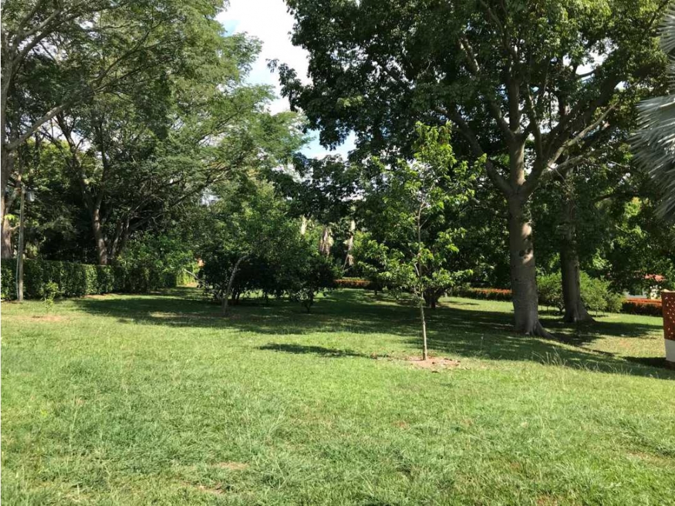 Finca en San Jerónimo en venta — foto 4