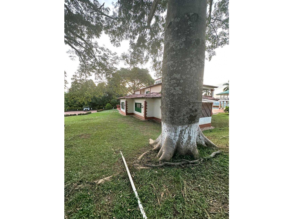 Finca en San Jerónimo en venta — foto 5
