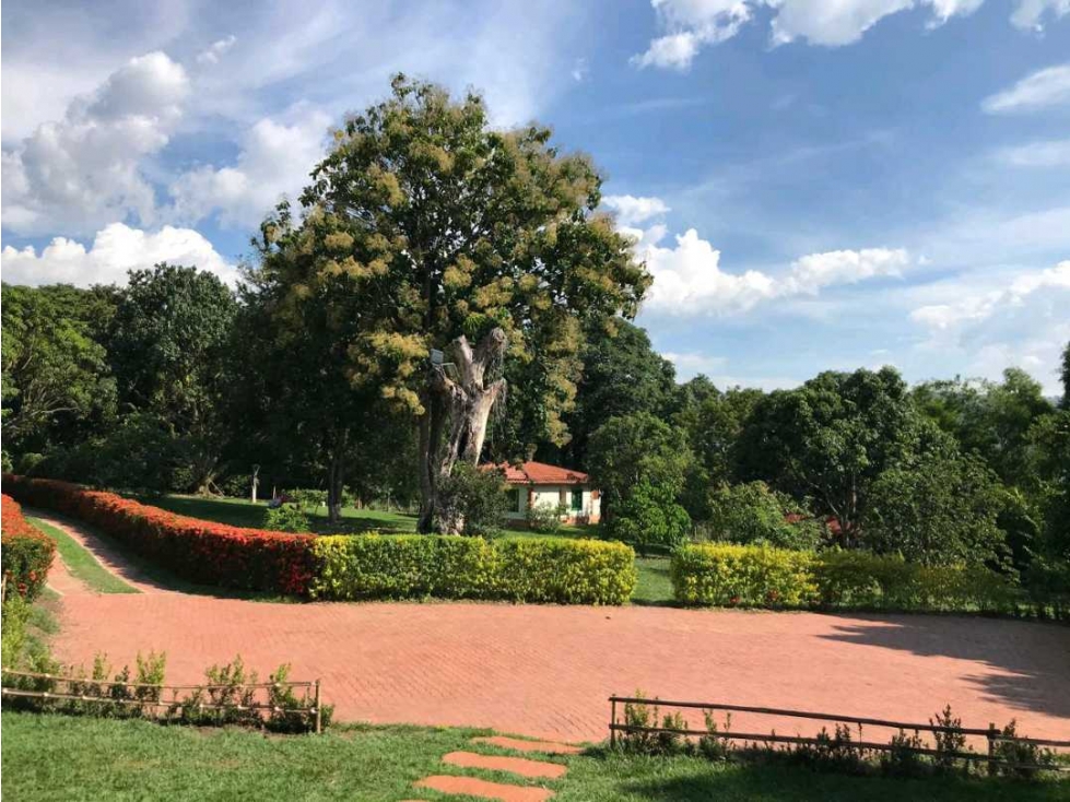 Finca en San Jerónimo en venta — foto 6