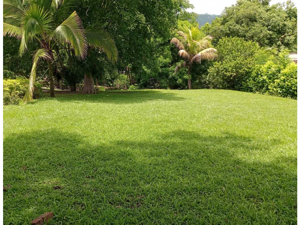 Finca en San Jerónimo , en Venta . — foto 5