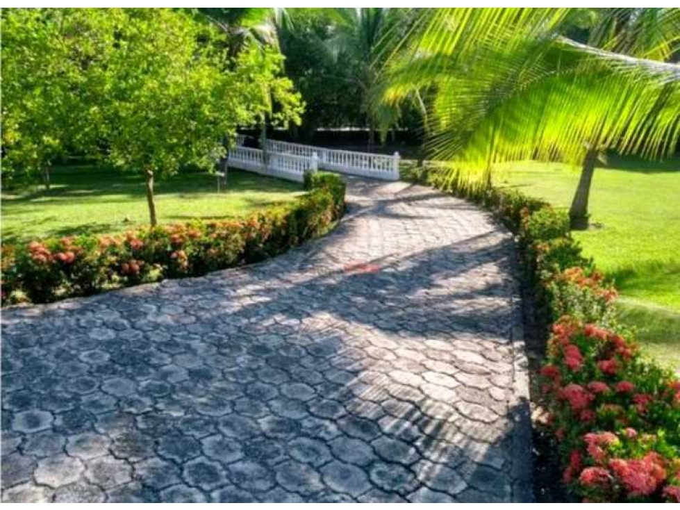Finca en San Jerónimo en venta . — foto 2