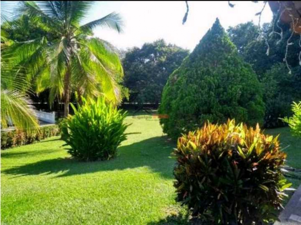 Finca en San Jerónimo en venta . — foto 6