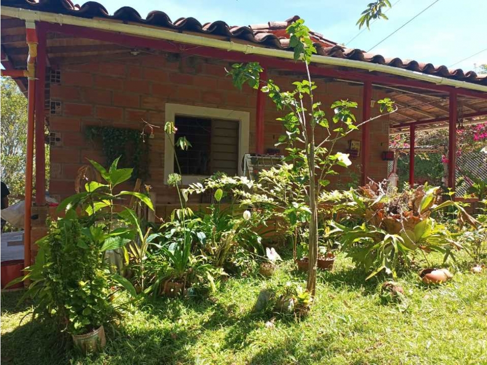Finca en San Jerónimo, vereda Mestizal — foto 3