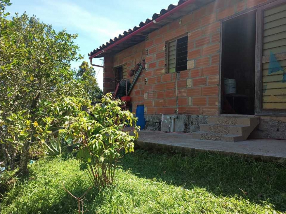 Finca en San Jerónimo, vereda Mestizal — foto 5