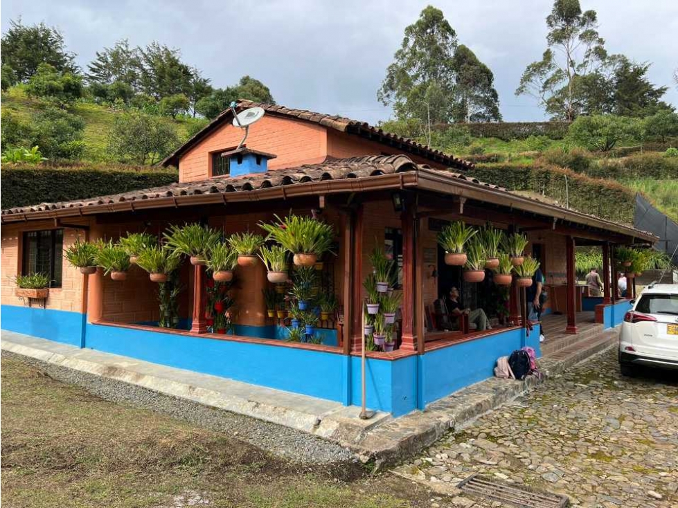 Finca en San Vicente de Ferrer - 1